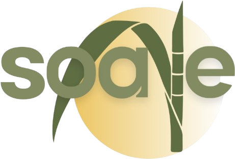 Logo da Soave