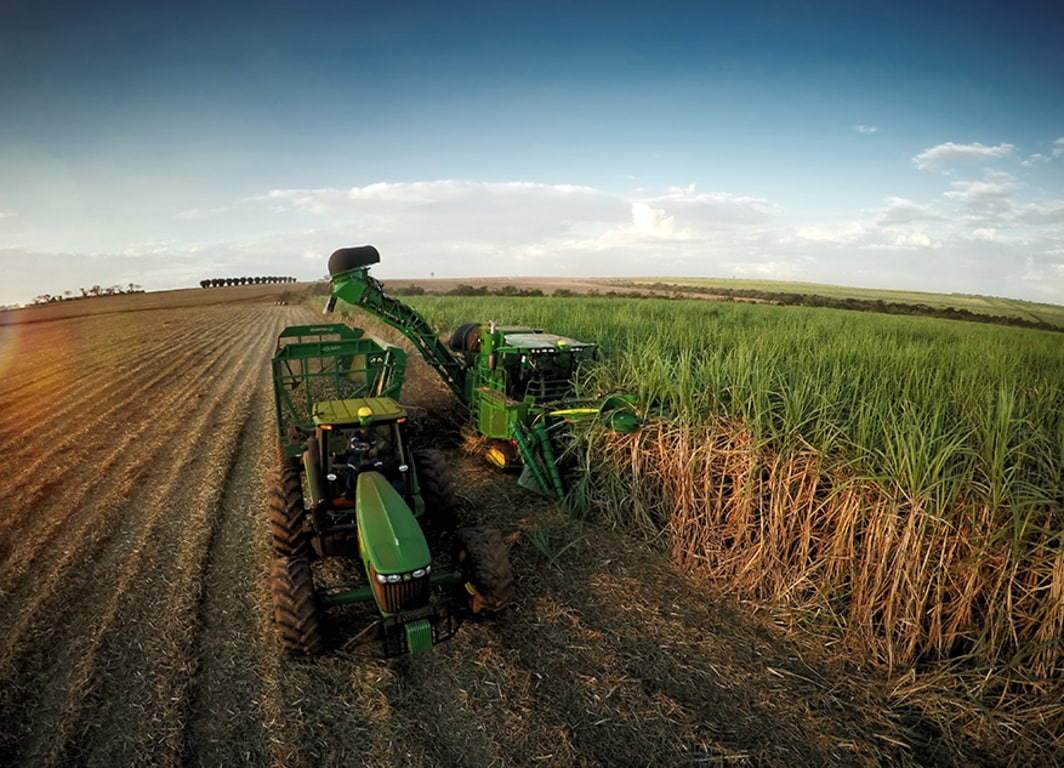 Setor Agrícola
